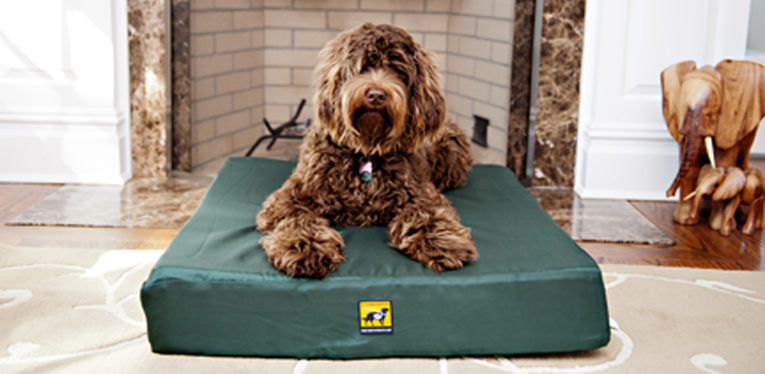 Orthopaedic Memory Foam Dog Bed 